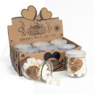 Pastillas de cera aromática - Menta y Eucalipto