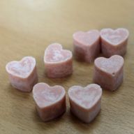 Pastillas de cera aromática - Jengibre y Clavo