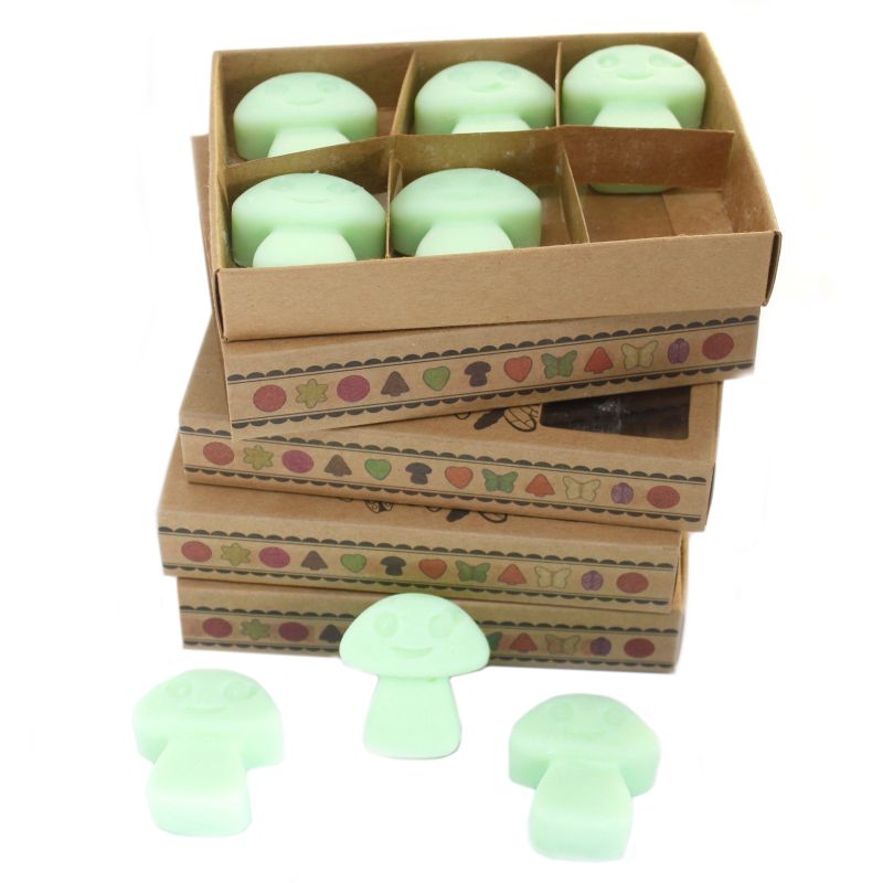 Caja de 6 ceras de Soja - Regaliz