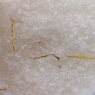 Mezcla de sal de baño del Himalaya - 500 g - Energizar