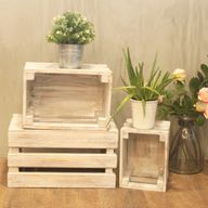 Caja de frutas set de 3 - Blanco