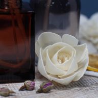 Difusor de Flores Naturales - Rosa Grande en Cuerda