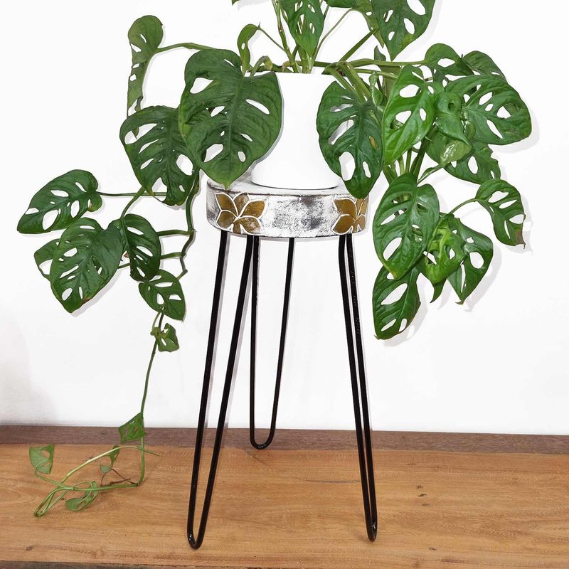 Soporte para plantas de madera de Albasia - Blanqueado
