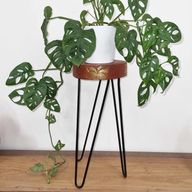 Soporte para plantas de madera de Albasia - Blanqueado