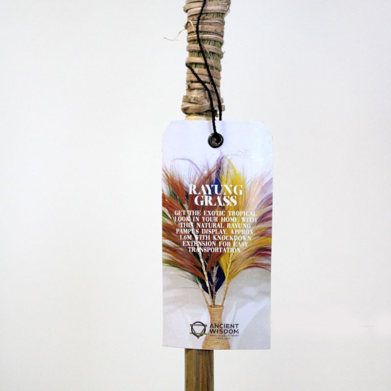 Palmera Lavanda de Rayung - 1.6m