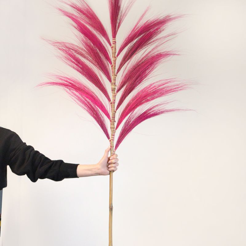 Palmera Natural de Rayung - 1.6m
