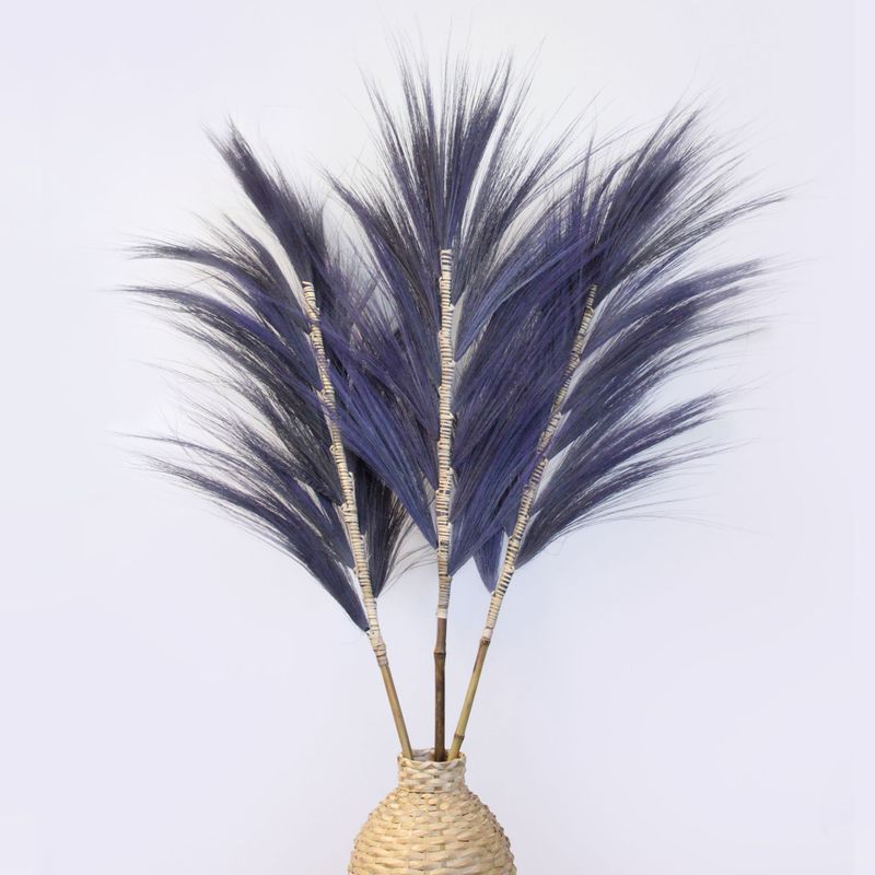 Palmera Lavanda de Rayung - 1.6m