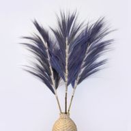 Palmera Lavanda de Rayung - 1.6m