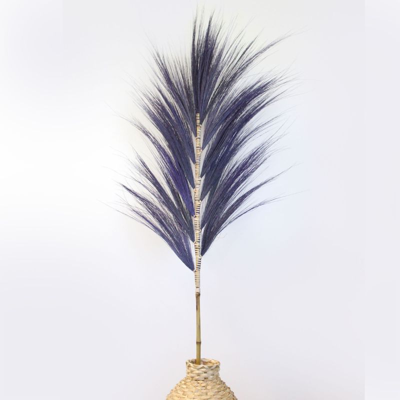 Palmera Lavanda de Rayung - 1.6m