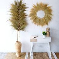 Palmera Rubia de Rayung- 2m