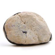 Geodas de calcita coloreada - Piedra Natural - Morado & Oro