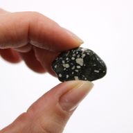 Pequeñas piedras africanas - Gallina de Guinea