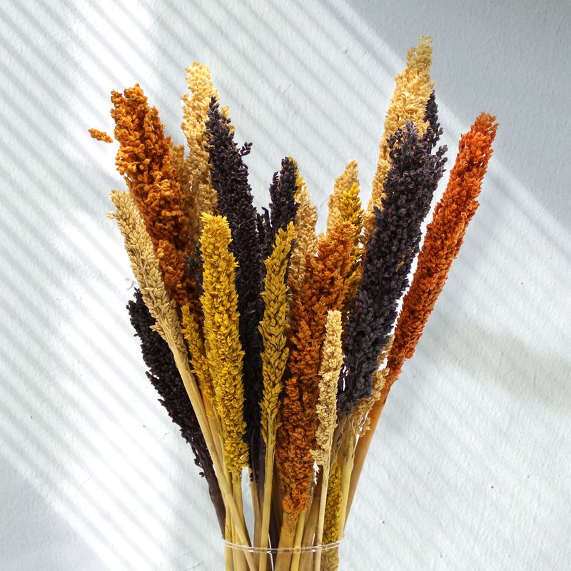 Racimo de Hierba Cantal - Naranja