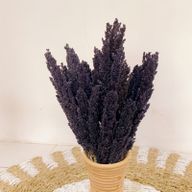 Manojo de Hierba Cantal - Negro