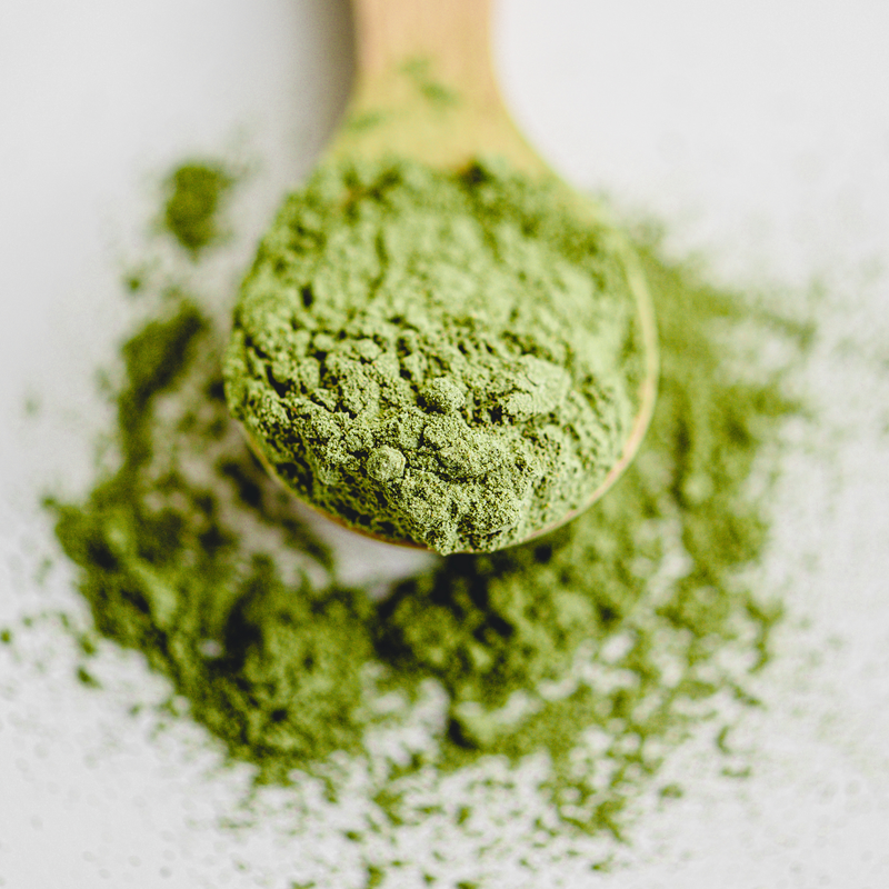 Té Matcha Culinario 0.5 Kg