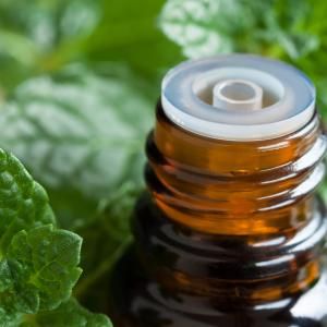 Aceites Esenciales Difusores de Coches