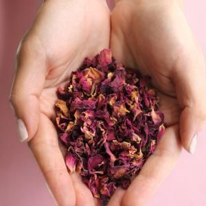 Puro Floral