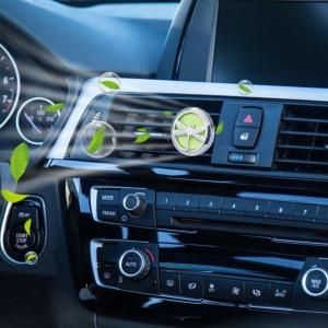 Aceites Esenciales Difusores de Coches