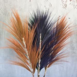 Rayung Grass