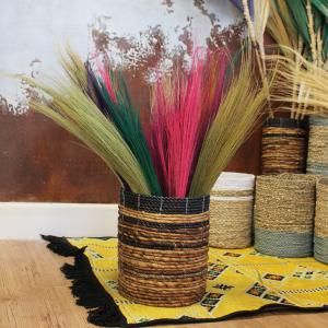 Plumeros de Pampas