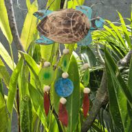 Talla de Tortuga en Aqua y Gota