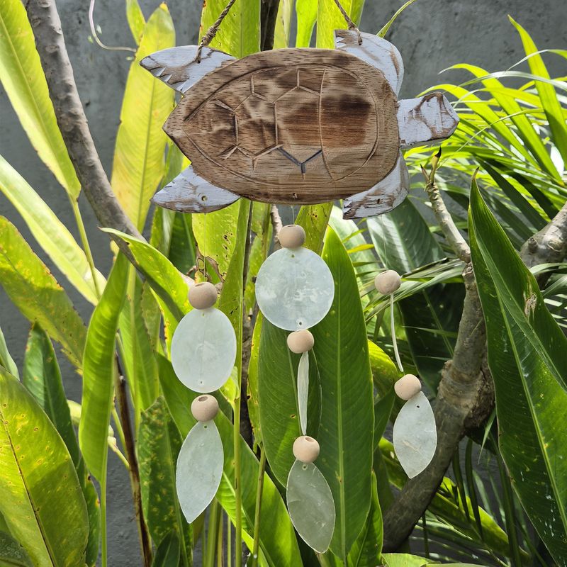 Talla de Tortuga en Blanco Lavado y Gota Natural