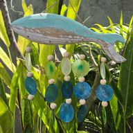 Talla de Pez en Aqua y Gota