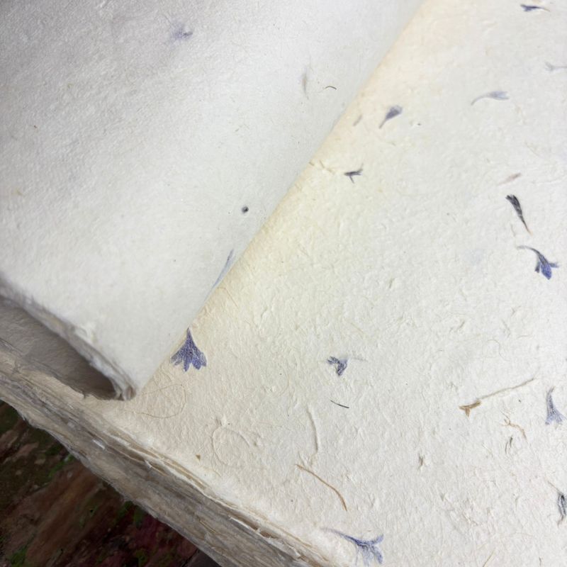 Lokta Craft & Papel de Regalo 51x76cm – Pétalo de aciano