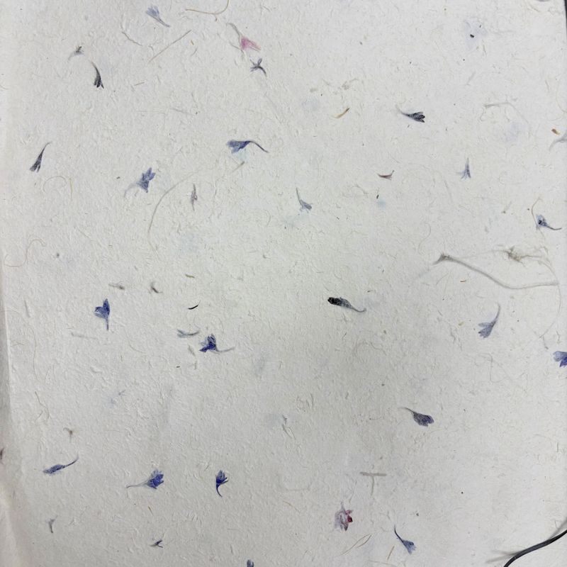 Lokta Craft & Papel de Regalo 51x76cm – Pétalo de aciano