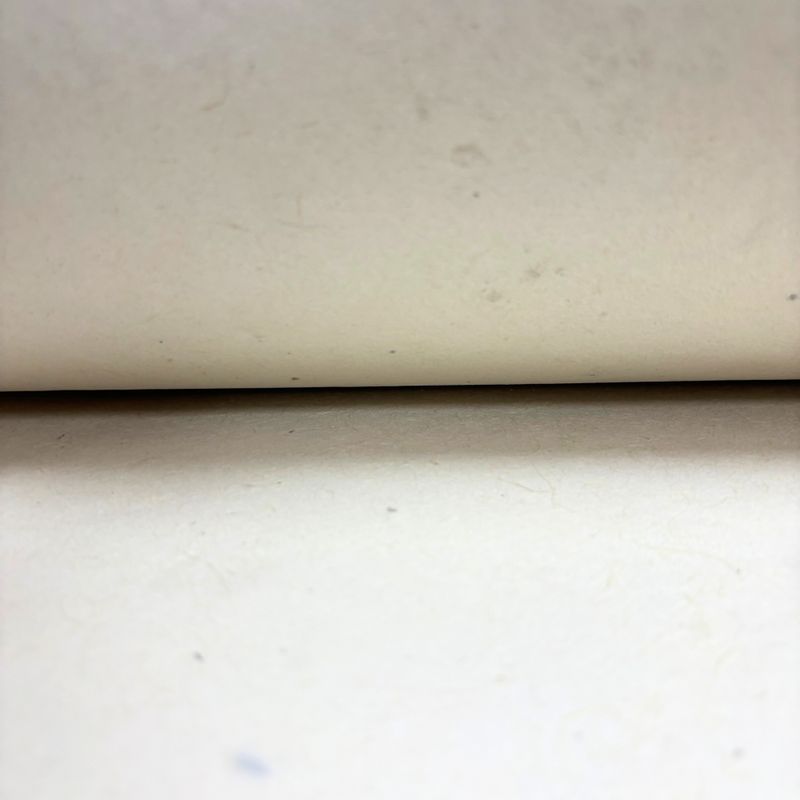 Lokta Craft / Papel de regalo (51x76cm) - 5gms papel liso