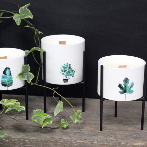 Velas Botánicas De Soja