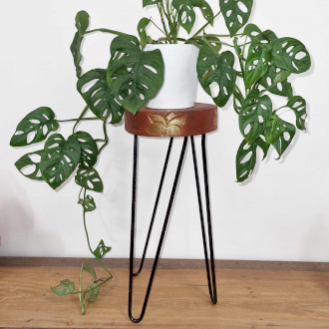 Soportes para plantas de madera Albasia