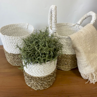 Conjunto de cestas de algas marinas
