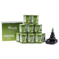 Paquete de 10 Incienso Masala Backflow - Eucalipto