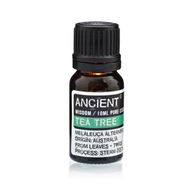 Conjunto de aceites esenciales de lavanda, árbol de té y romero de 10 ml cada uno.