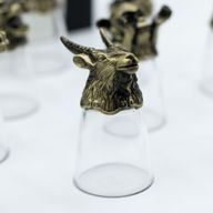 Vasos de chupito Bottom Up (25ml) - Bosque y Criaturas Místicas - Bronce Antiguo