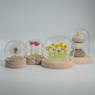 Domo de jardín Floral Glow - 20 girasoles - LED USB