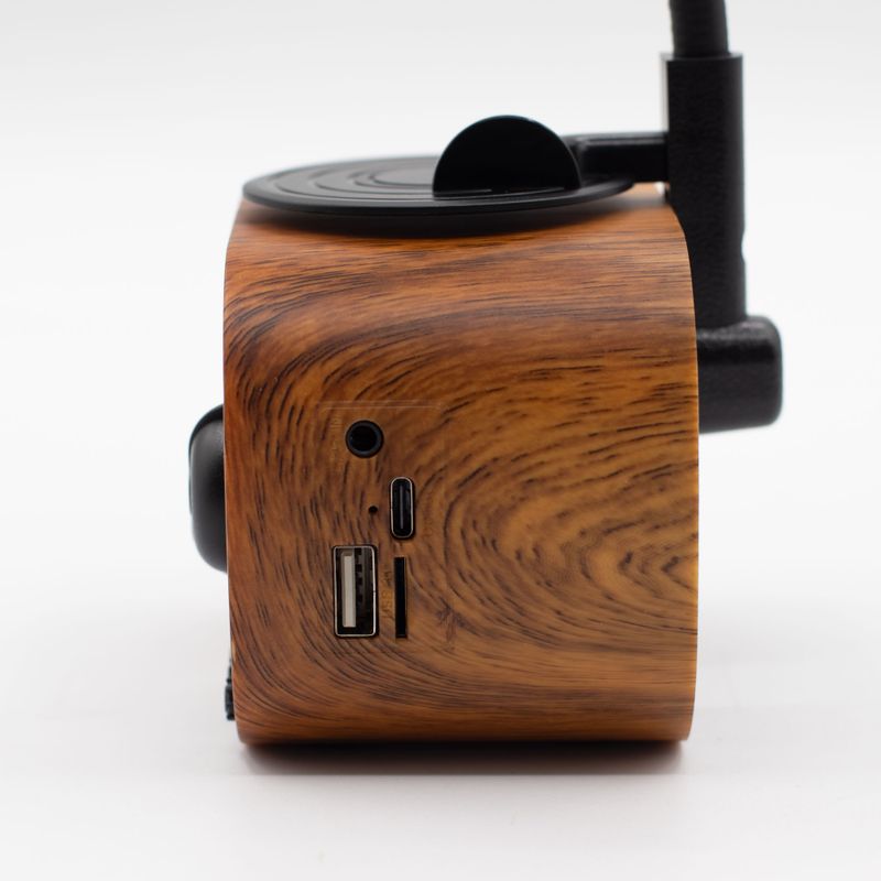 Altavoz mini gramófono retro - Bluetooth y radio FM - 5 vatios x 1