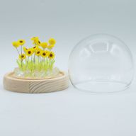 Domo de jardín Floral Glow - 20 girasoles - LED USB