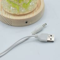 Domo de jardín Floral Glow - 20 girasoles - LED USB