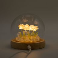Domo de jardín Floral Glow - 10 rosas rosadas - LED USB
