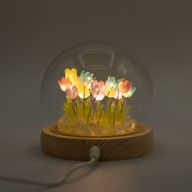 Domo de jardín Floral Glow - 20 tulipanes multicolor - LED USB