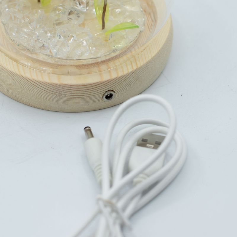 Domo de jardín Floral Glow - 2 dientes de león - LED USB