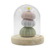 Domo de Jardín Floral Glow - 3 erizos de mar - LED USB