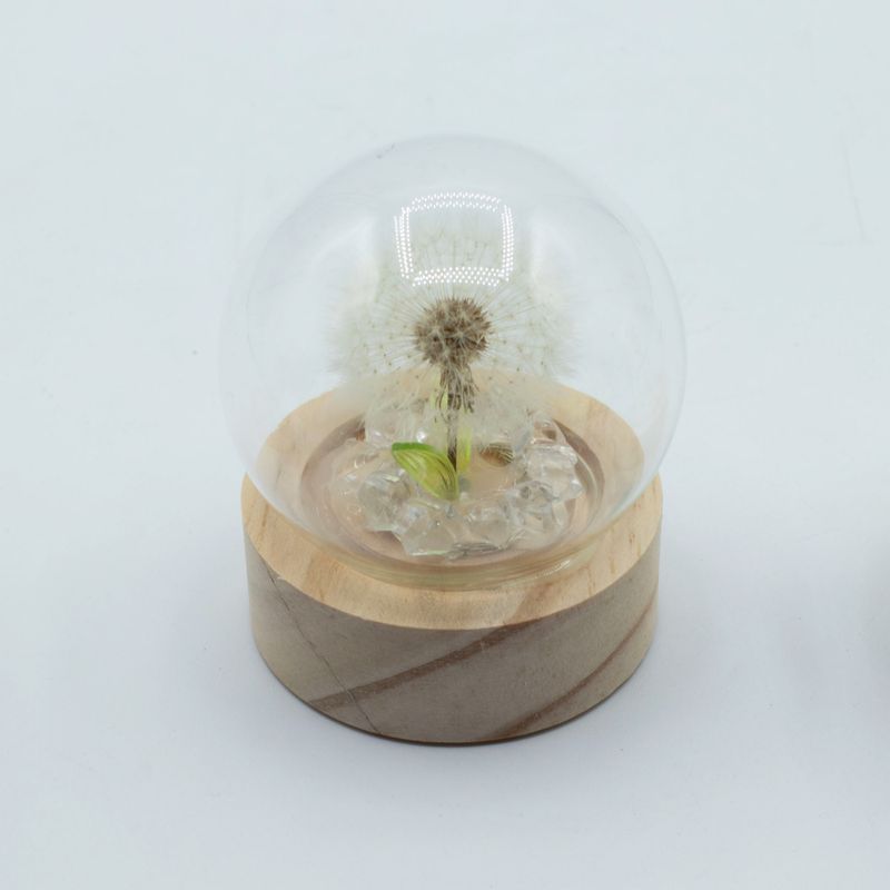 Domo de jardín Floral Glow - 1 Diente de león - Batería LED