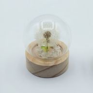 Domo de jardín Floral Glow - 1 Diente de león - Batería LED