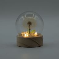 Domo de jardín Floral Glow - 1 Diente de león - Batería LED
