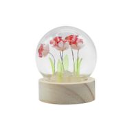 Domo de jardín Floral Glow - 5 rosas rojas - Batería LED