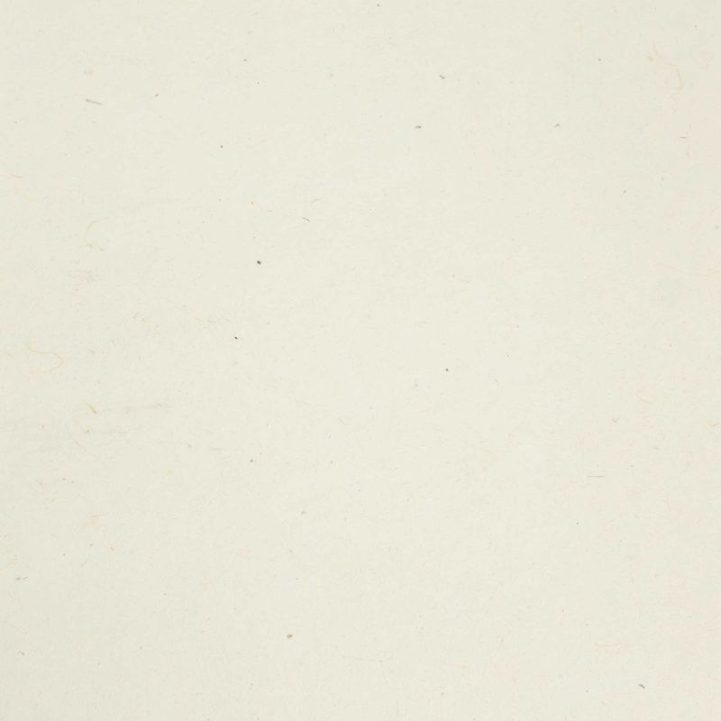 Paquete de 30 hojas de papel Lokta artesanal A4 - 20 gramos - liso
