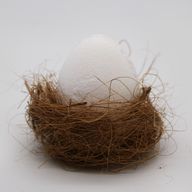 Bomba Huevo Coco en Caja de Huevos